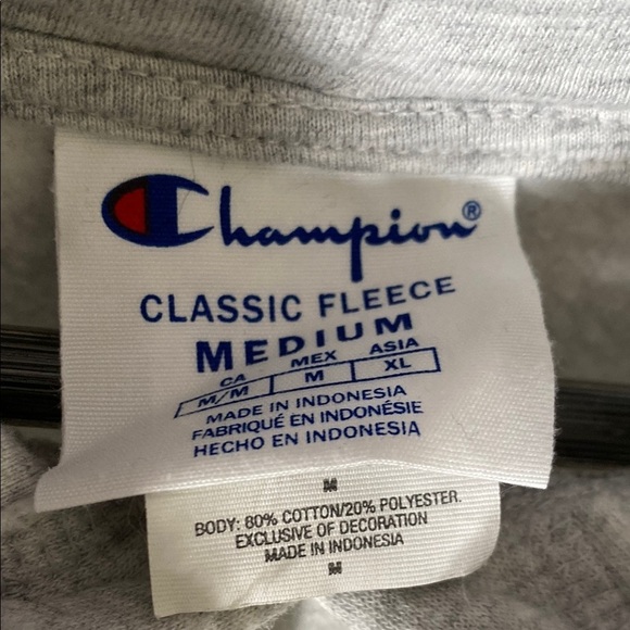 Champion Gray Hoodie Size Medium Casual Pullover - Picture 2 of 8